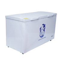 Congélateur horizontal commercial à coffre, 220V, 700L, pour cuisine et usage domestique, certifié CE