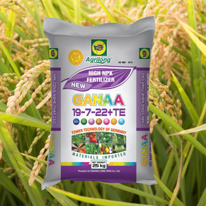 Engrais granulaire composé premium AGRILONG NPK 19-7-22+TE, Vietnam OEM ODM, libération rapide, stimule les bourgeons floraux - Product Image 1