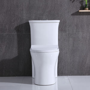 WC monobloc en céramique pour salle de bain, style Amérique latine - Product Image 5