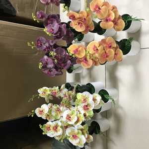 37Cm Kleine Potplanten Phalaenopsis Orchidee Bloemen Kunstmatige Phalaenopsis Bonsai - Product Image 4