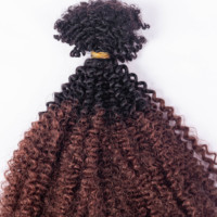 Super Septembre : Cheveux Humains Bruts 100% Shoumei Afro Kinky en Vrac pour Femmes Noires, Idéal pour la Création de Dreadlocks et Extensions de Locs