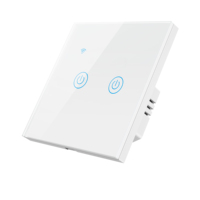 Smart Life Compatible 400W/Gang 2-Gang Panel táctil Wifi interruptor duradero para luz LED de pared de techo Universal US/EU/UK voltaje
