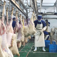 Rail complet de suspension de viande d'abattoir d'agneau d'abattoir de chèvre pour l'équipement d'abattoir de moutons