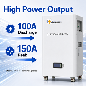 51.2V 100Ah LiFePO4 <b>Battery</b> Pack Wall Mounted Lithium Ion <b>Batteries</b> Pack for Solar Home Energy Storage System - Product Image 5