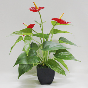 กระถางพืชประดิษฐ์แคลลาเดียมขนาดใหญ่ของขวัญสุดสร้างสรรค์ - Product Image 4