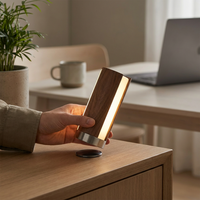 Nouvelle Lampe Murale Intelligente à Capteur Corporel LED, Veilleuse Tricolore Magnétique Rechargeable pour Chambre et Armoire