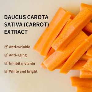 निजी लेबल एंटीऑक्सीडेंट विटामिन सी पेप्टाइड्स, चेहरे के पोषण के लिए तेल तरल सीरम का तेल तरल सीरम - Product Image 4