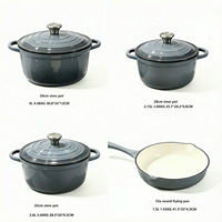 Ensemble de batterie de cuisine antiadhésive 5 pièces, compatible four, casseroles et poêles en fonte pour cuisinières à induction et à gaz