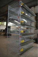Cages et équipements d'élevage en couches pour animaux : Cage d'élevage de type A pour cailles