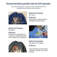 Poudre adhésive thermofusible DTF en copolyamide TPU, polyuréthane blanc pour impression par transfert sur soie et coton
