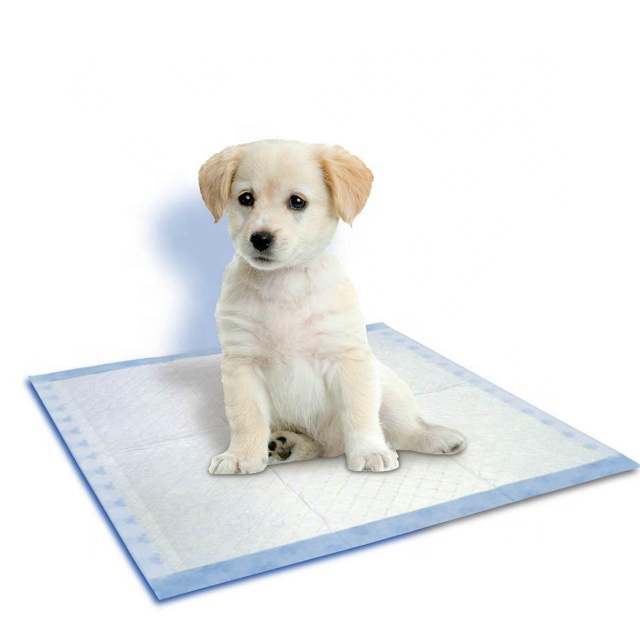 Одноразовые прокладки для щенков для недержания мочи, быстрое и высокопоглощающее влагу