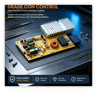 Placa Base para Cocina de Inducción Comercial AM 16B 1900W, Protección Contra Sobretensiones de 6KV, PCB con Sensor de Temperatura NTC