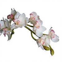 Élégante orchidée Cymbidium artificielle blanche, tige en soie au toucher réel, pour la décoration florale de la maison, des vases, des mariages et des arrangements de table.