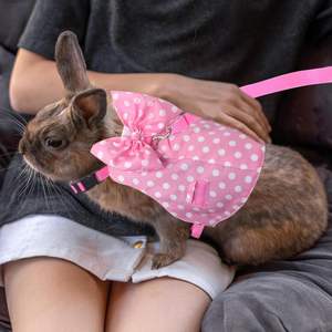 ชุดสายจูงและปลอกคอกระต่าย Habbiful - ไนลอน ป้องกันการหลุดรอด ระบายอากาศ ลายจุด ใช้ได้ทุกฤดู สำหรับการฝึกกลางแจ้ง เดินเล่น และตั้งแคมป์ - Product Image 6