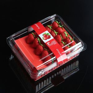 PE Film Cellulose Pulp <b>Material</b> High Quality Fresh Fruit Absorbent Pad for Food <b>Pack</b> - Product Image 4