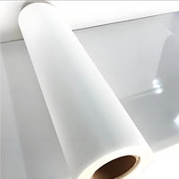 DTF Pigment Printer Film 33cm 30cm 60cm DTF Film Film PET imprimable par transfert de chaleur pour T-shirts DTF Transferts
