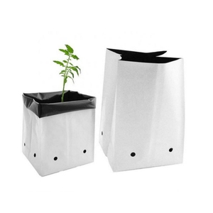 Sacs de culture en plastique noir <span class=keywords><strong>pour</strong></span> serre fruits légumes bleuets pépinière <span class=keywords><strong>jardin</strong></span> planteur <span class=keywords><strong>pour</strong></span> plantes - Product Image 2