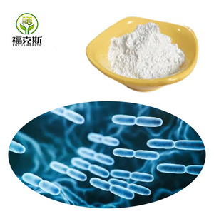 Suministro de Polvo Probiótico de Alta Calidad para Yogur, <span class=keywords><strong>Lactobacillus</strong></span> <span class=keywords><strong>Bulgaricus</strong></span> - Product Image 1