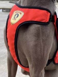 Harnais professionnel robuste pour chien 1000D, type <span class=keywords><strong>gilet</strong></span>, pour la recherche et le sauvetage, les interventions en cas d'incendie, de tremblement de terre et de catastrophe, respirant et ajustable - Product Image 3
