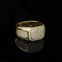 Bague de luxe pour homme style hip-hop avec pierres précieuses, plaqué or 14 carats, en alliage personnalisé, grand zircon, motif léopard, pour la mode urbaine