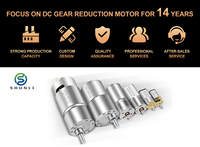 Moteur micro à engrenages de réduction DC 3,7 volts 12v personnalisé Shunli, couple élevé, diamètre de la boîte d'engrenages de réduction 13 mm pour vanne à gaz