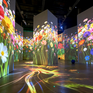 Système de projection immersive pour les musées d'art numérique, les restaurants, les centres d'expérience et les attractions commerciales - Product Image 1