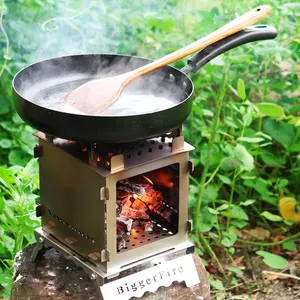 Multifunction China Modern Design Indoor Heating Portable Wood Fired Burn Camp Stove Fire Pit For Bulgaria Top Sale
