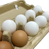 Precio Competitivo, Calidad Superior, Cartón Rectangular de Papel Reciclado Personalizado para 10 Huevos, Empaque de Alimentos, Nueva Llegada