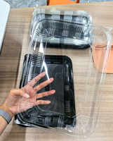 Plateaux de service recyclables de 13 pouces, grands plateaux en plastique écologiques pour les buffets de sandwichs, les desserts