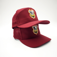 Gorras de Golf Transpirables y Ajustables con Malla, Cierre a Presión, Bordado a Mano de Leopardo, Patrones de Frutas con Puntos Dobby, para Hombres, Actividades al Aire Libre