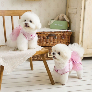 Vestido Tutú con Estampado de Cerezas para Mascotas, Falda de Tul Suave, Adorable <span class=keywords><strong>Disfraz</strong></span> de Fruta para Cachorros y Gatitos, Vestido para Fiestas y Cumpleaños - Product Image 2