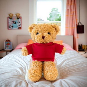 T-shirt personnalisé pour ours en peluche, couverture douce en peluche personnalisée, jouet ours écologique pour anniversaire, Noël, promotion, OEM - Product Image 4