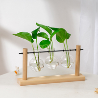 Vase en verre transparent pour plantes hydroponiques personnalisé avec support en bois, station de propagation