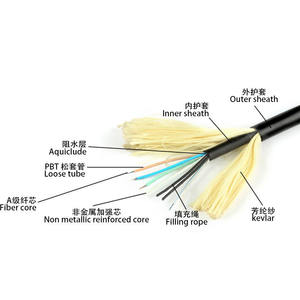 Custom ADSS interior 2km 8-Core PVC cobre desnudo 1M Patch Cable 12 Ethernet Cat5e <span class=keywords><strong>Utp</strong></span> Shield Networking 2-Core modo único GYXTW - Product Image 2