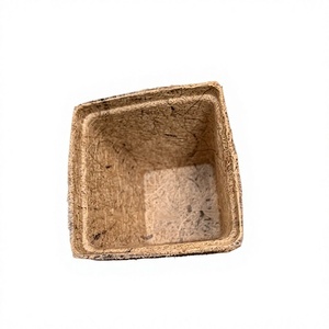 Vente Flash 2026! Pots de fleurs minimalistes biodégradables en fibre de coco de haute qualité pour mur, maison, jardin, fabriqués au Vietnam, emballés - Product Image 1
