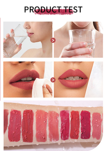 Wholesale <strong>Bulk</strong> Cruelty Free Lipstick Customized Matte Shimmer <strong>Vegan</strong> Lipstick Private Label Long Lasting Liquid Lip Gloss - Product Image 5
