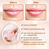 Vente en gros cosmétiques maquillage marque privée hydratation naturel végétalien organique permanent rose baume à lèvres
