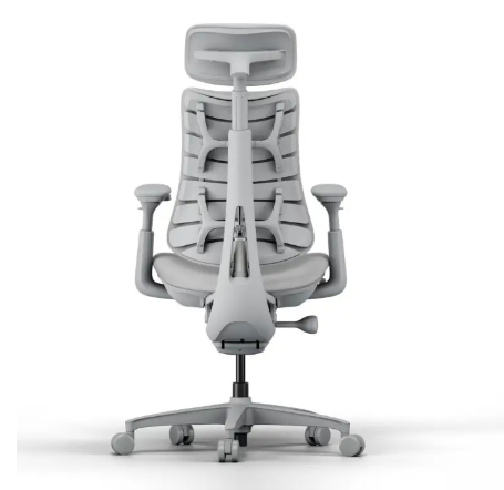 LiberNovo Dynamic Ergonomic Desk Chair