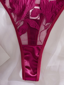 Conjunto de Lencería Sexy con Bordado Floral y Logotipo Personalizado, Pijama de Dos Piezas con Tanga para Mujer - Product Image 4
