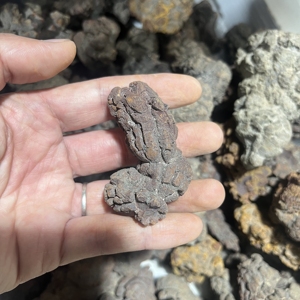 Venta al por mayor a granel de dinosaurio fósil natural, <span class=keywords><strong>coprolito</strong></span>, piedra de cristal fósil para colección de regalos - Product Image 3