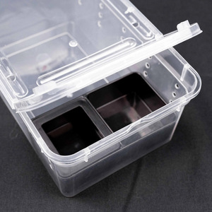 Boîte d'alimentation en plastique pour reptiles, terrarium, boîte de transport pour reptiles, pour gecko, grenouille, araignée, serpent, bébé lézard - Product Image 3