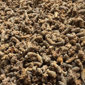 Vân Nam Mới Thu Thập Toàn Bộ Radix Pseudoginseng Bán Số Lượng Lớn Pseudoginseng Gốc Cho Trà - Product Image 4