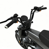 Vélo électrique Holladay 800W à moteur central, adapté aux touristes, avec roues de 12 pouces et 10 pouces, 3 vitesses, batterie au plomb-acide, vélo électrique pour adultes