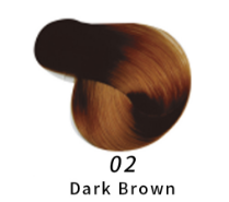 02 สีน้ำตาลเข้ม