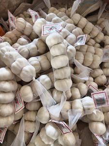 Chine <span class=keywords><strong>Acheter</strong></span> de l'ail <span class=keywords><strong>frais</strong></span> de haute qualité 10kg 20kg en gros - Product Image 3