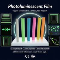 Film photoluminescent auto-adhésif imperméable, flexible, qui brille dans le noir, pour les sorties de secours et les enseignes néon décoratives pour la maison