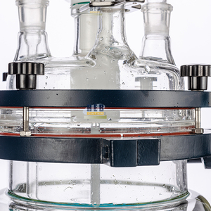 Chaudière de réaction de laboratoire chimique 150L avec double enveloppe, verre GG-17, supports en acier inoxydable, agitation automatique 750W - Product Image 6