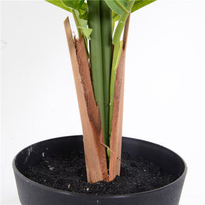 GS03-08001A venta al por mayor, precio de fábrica, ombre kwai de cola de pescado de <span class=keywords><strong>palm</strong></span> <span class=keywords><strong>dypsis</strong></span> lutescens - Product Image 3