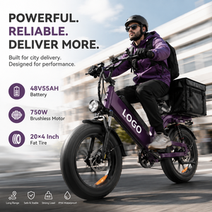 Vélo cargo électrique OEM haute vitesse, pneus larges de 20 pouces, 48V 750W, cadre en aluminium, longue autonomie, vélo électrique pour coursiers - Product Image 1