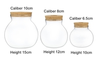 Kit de réservoir de poisson en verre transparent avec couvercle en bois petit bol à poisson Betta et vase de terrarium végétal